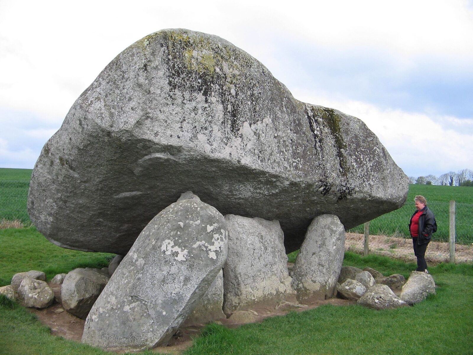 Brownshill Dolmen in County Carlow